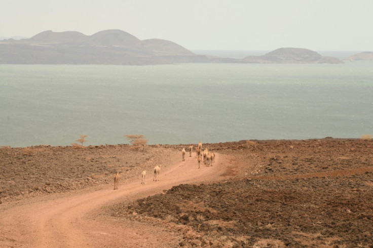 Four consecutive failed rainy seasons, made worse by a changing climate, have created the driest conditions since the early 1980s