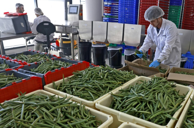 An employee sorts vanilla beans at the production hall of start-up Vanilla Vida in the central Israeli city of Or Yehuda