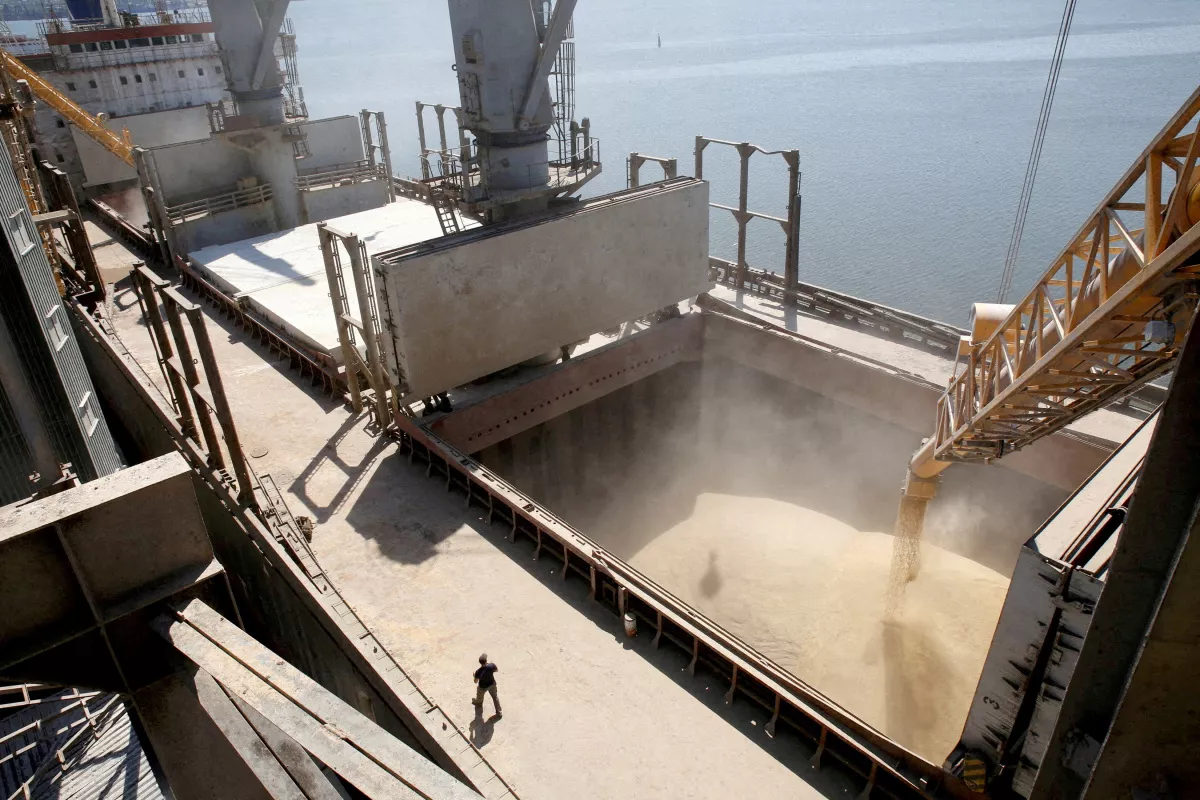 Seafarer shortage stands in way of Ukraine grain corridor - Vimarsana News