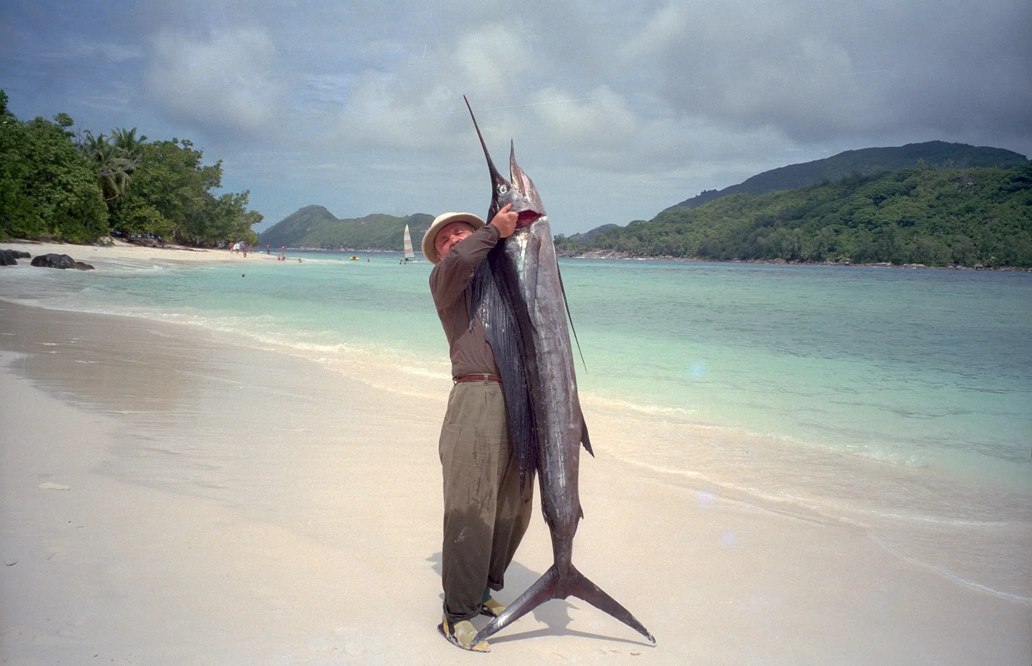 Sailfish leaps out of water, impales 73-year-old woman in Florida - Vimarsana News