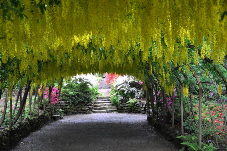 Bodnant Gardens, Colwyn Bay 