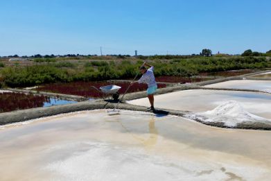Salt maker Francois Durand harvests sea salt from a salt pan in Le Pouliguen, France