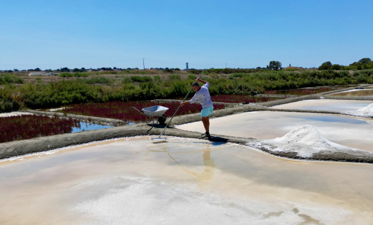 Salt maker Francois Durand harvests sea salt from a salt pan in Le Pouliguen, France