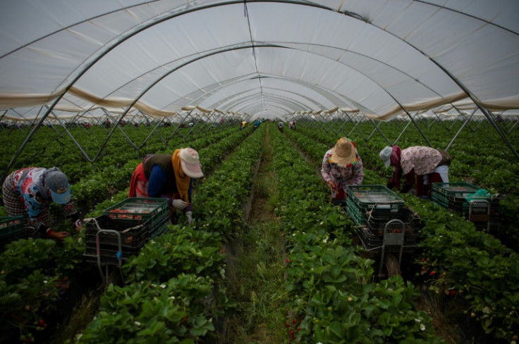 Over 80 percent of Spain's water resources are used by agriculture