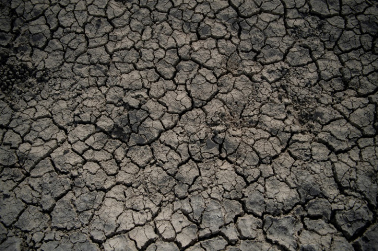 Greenpeace estimates that 75 percent of Spain is susceptible to desertification