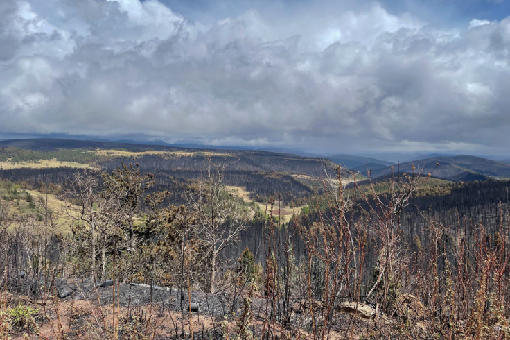 Wildfires in New Mexico