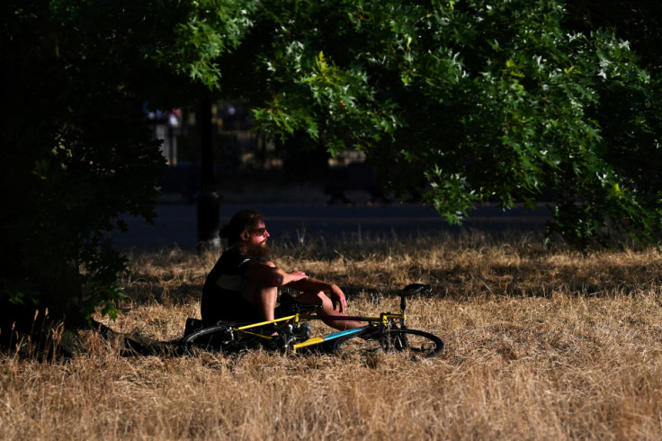 A man sits under the shade of a tree on Clapham Common in London