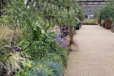  3,000 plant species greet visitors on the new walkway.
