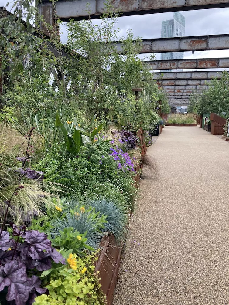 Castlefield Viaduct: Manchester's new park in the sky could transform the city – but who will benefit? - Vimarsana News