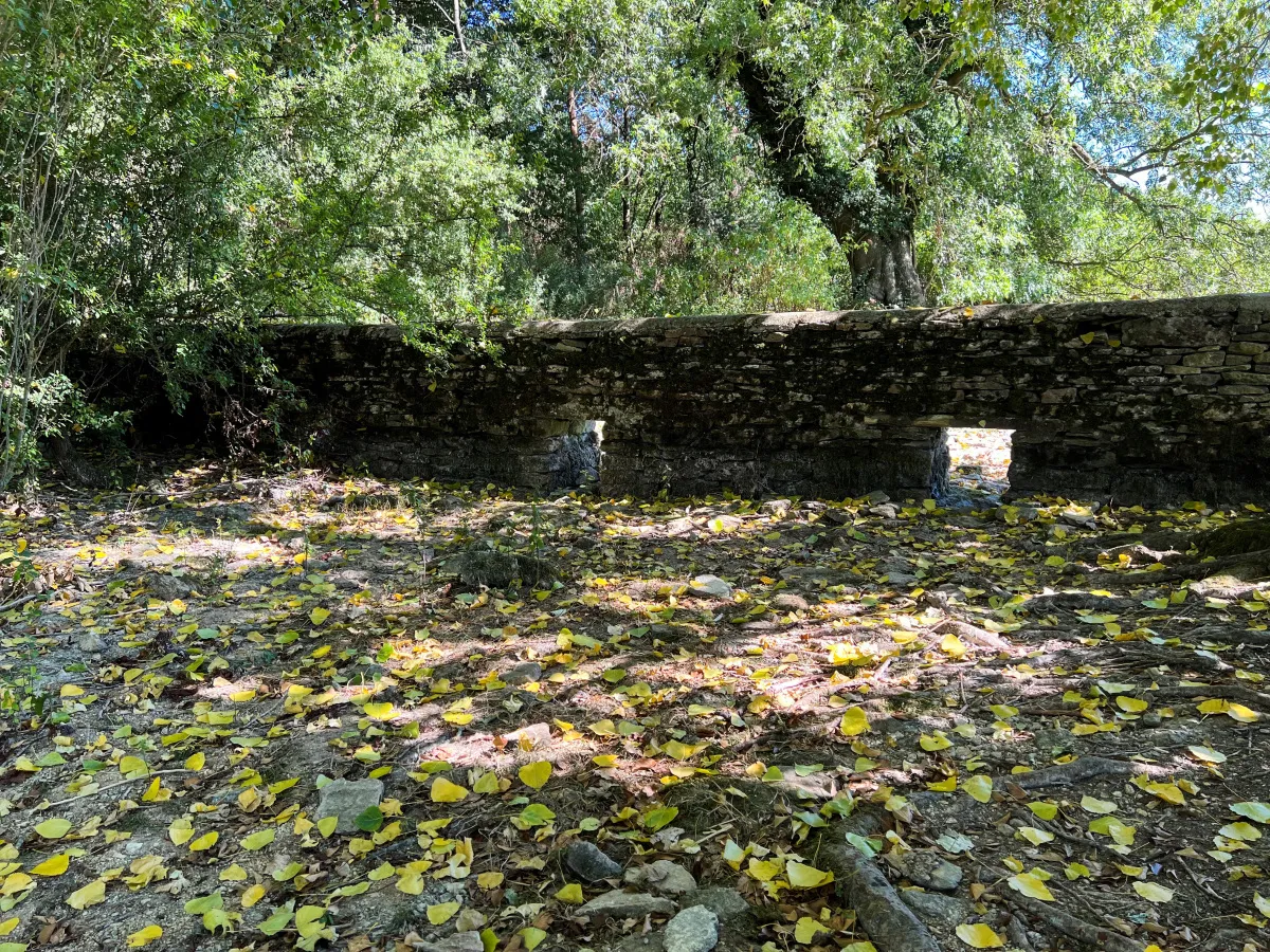 Source of Britain's River Thames driest ever as drought nears - Vimarsana News