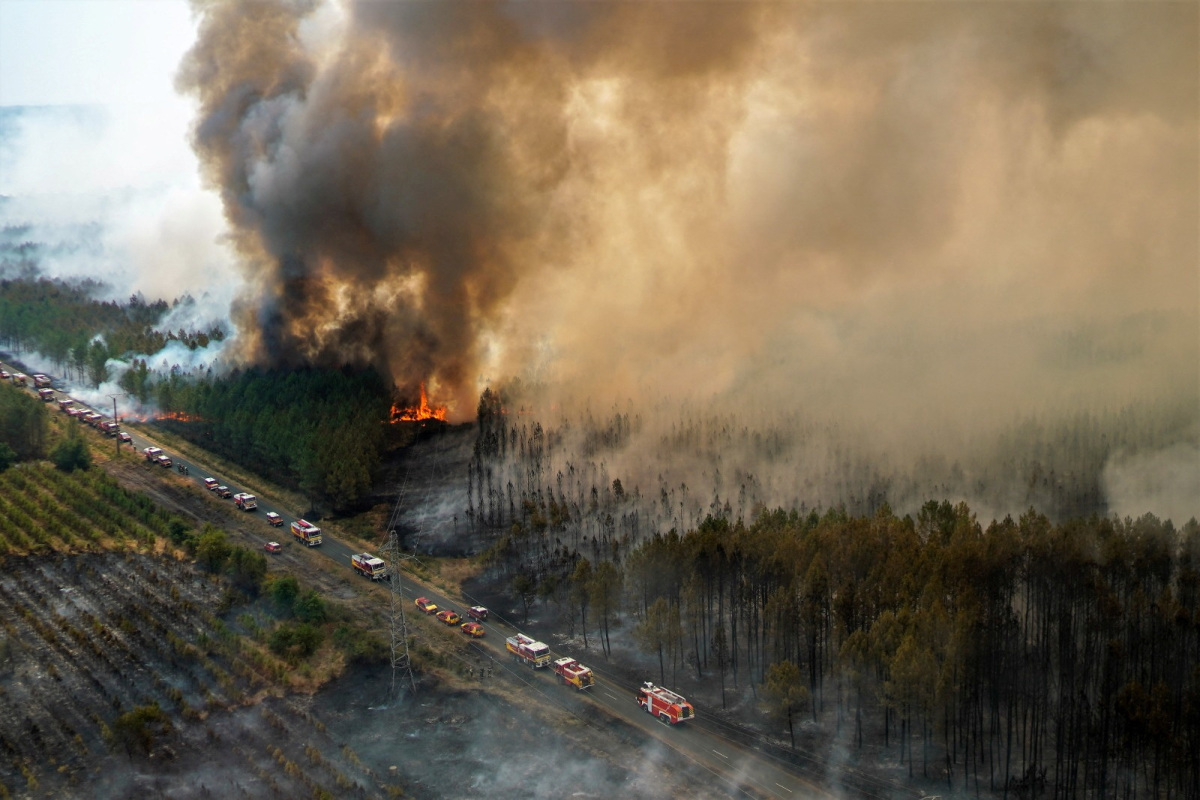Les émissions de carbone des incendies de forêt en France atteignent un record