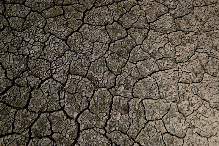 Cracks can be seen on dried up bed of Tittesworth Reservoir, in Leek