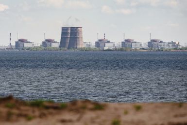 Zaporizhzhia nuclear plant (pictured on April 27, 2022) was captured by Russian troops not long after Moscow launched its invasion of Ukraine