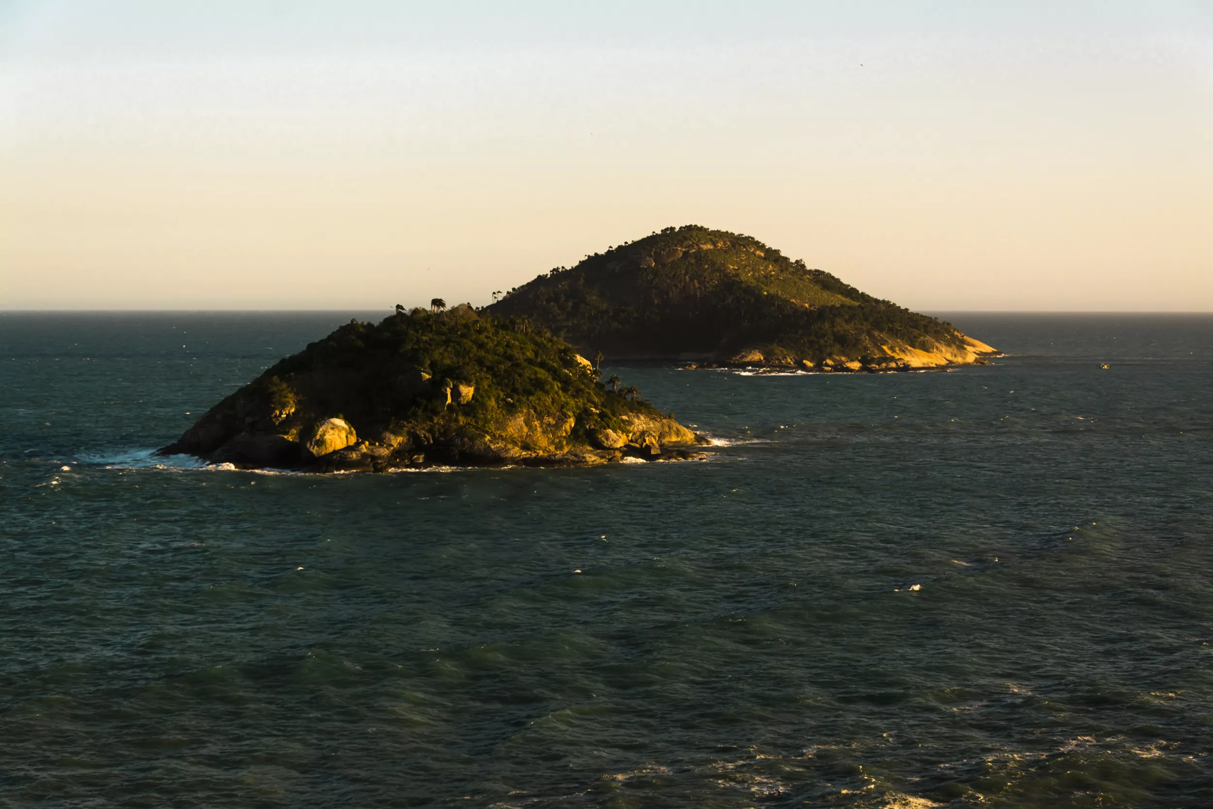Man survives on deserted island on two lemons, seawater and charcoal - Vimarsana News