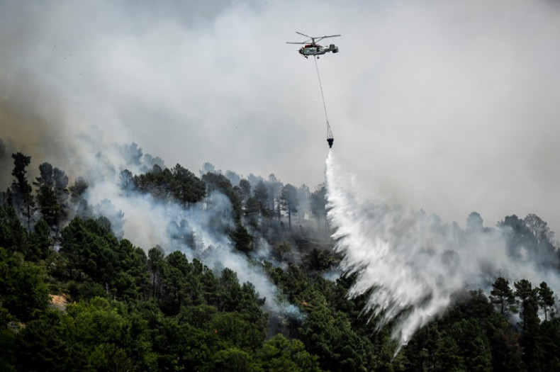 L'Europe de l'Ouest a connu une activité record d'incendies jusqu'à présent en 2022