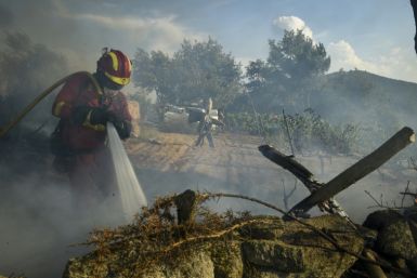 So far this year, Spain has been hit by 391 wildfires, including in the northwesternern town of Verin