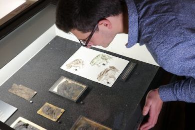 The author looking at fossil specimens from the Geiseltal collection in Germany Daniel Falk, Author provided.