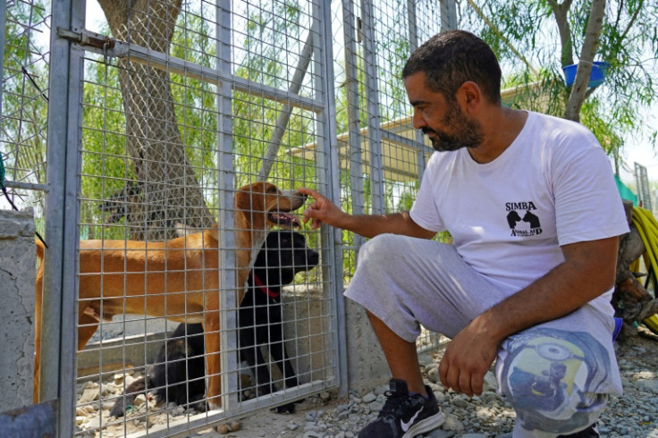 Dog shelters in Cyprus are overflowingwith canines adopted by people at the height of the Covid pandemic to beat lockdowns being dumped as the cost of living soars