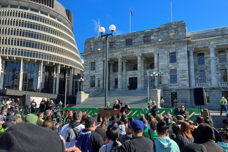 Protesters gather on the grounds of New Zealand Parliament in Wellington
