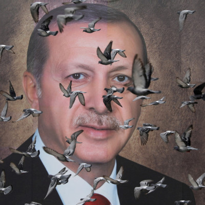 Pigeons fly in front of a large poster of Turkish President Tayyip Erdogan in Bursa