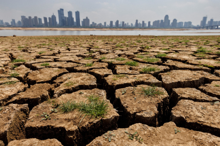 Cracks run through the partially dried-up river bed of the Gan River, a tributary to Poyang Lake during a regional drought in Nanchang