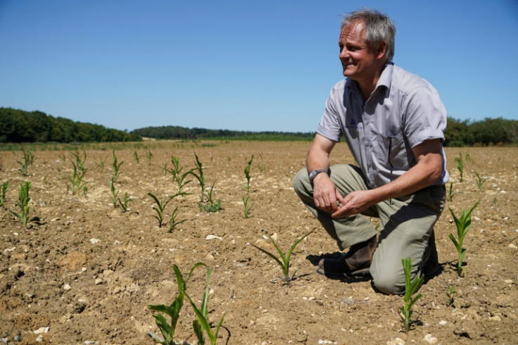 Skyrocketing energy prices, drought and historic heatwaves are all heavily affecting the Euston Estate farm, who has been forced to make painful choices to save part of his crop.