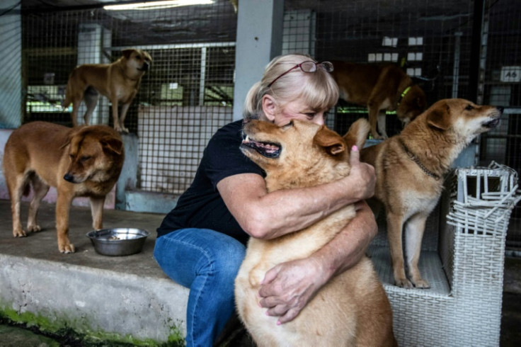 Hong Kong's strict pandemic control measures have made it increasingly difficult of those emigrating to take their pets with them