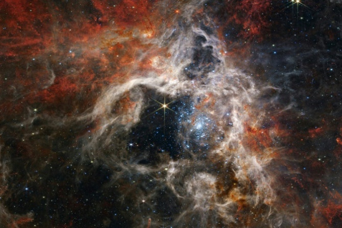Officially known as 30 Doradus, the region of space is characterized by its dusty filaments that resemble the legs of a hairy spider, and has long been a favorite for astronomers interested in star formation