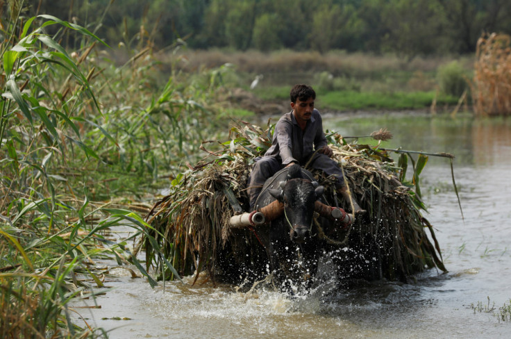 Monsoon season in Nowshera