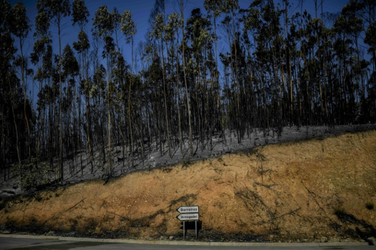 Wildfires destroyed thousands of acres of woodland in several European countries