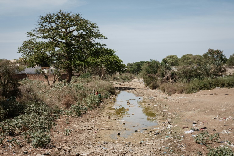 Drought In Somalia May Have Killed 43,000 In 2022, Half Of Them Under ...