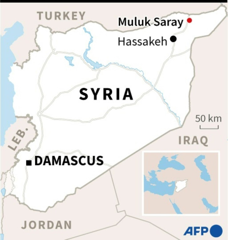 Map locating Muluk Saray in Syria