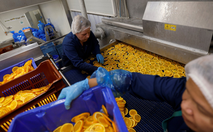 Sliced oranges are prepared by workers for drying at the Nim's Fruit Crisps factory, in Sittingbourne