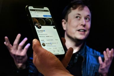 Elon Musk said Twitter has "incredible potential," but he and other investors are overpaying for it in the $44 billion buyout deal