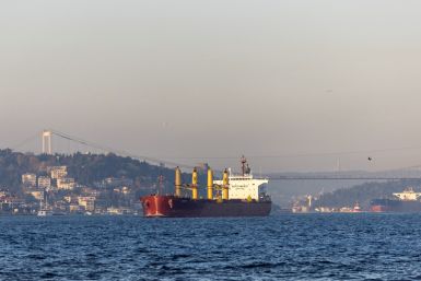Zante, a cargo vessel carrying Ukrainian grain, transits Bosphorus, in Istanbul