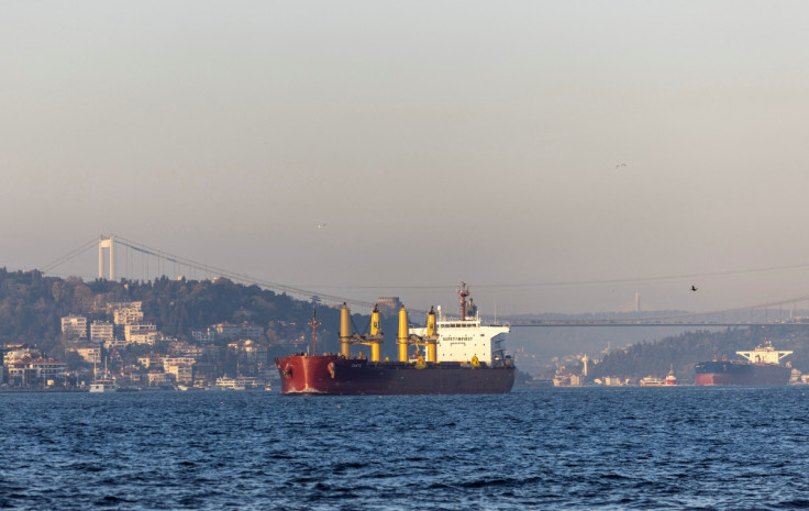 Zante, a cargo vessel carrying Ukrainian grain, transits Bosphorus, in Istanbul