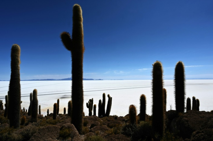 A seemingly endless salt desert in Latin America's "lithium triangle" straddling Argentina, Bolivia and Chile. Lithium is a crucial ingredient in electric car batteries