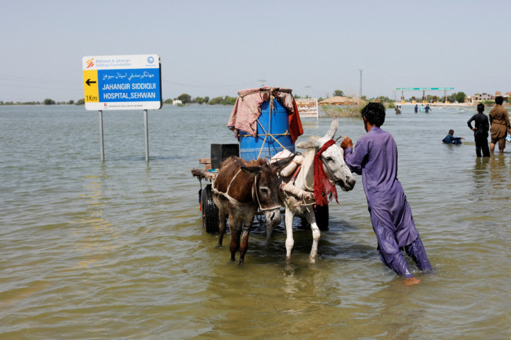 Monsoon season in Sehwan