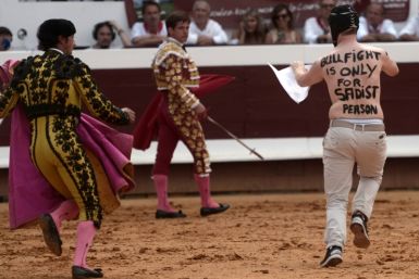 Bullfighting is defended as a local tradition in many towns in southern France