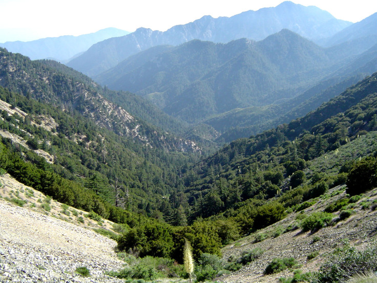 Angeles National Forest 