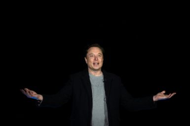 Elon Musk's reign at Twitter has been marred by chaos that has tarnished his reputation and dragged down shares of his electric car company Tesla