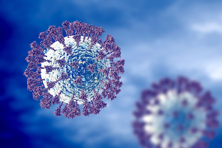 Erster menschlicher Fall eines neuen Schweinegrippestamms in Großbritannien entdeckt