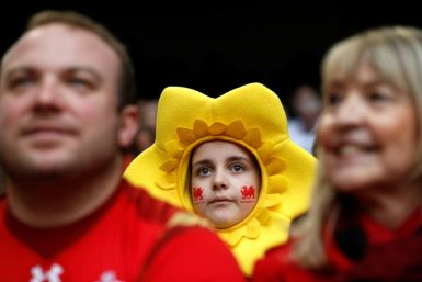 Passion flower: Welsh fans await kickoff against England in Cardiff in 2019