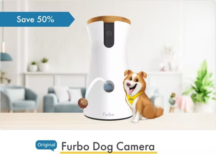 dog camera