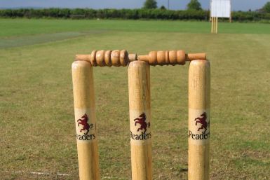 Representational image of a cricket pitch