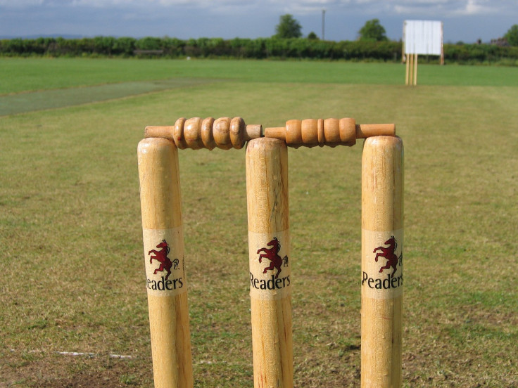 Representational image of a cricket pitch