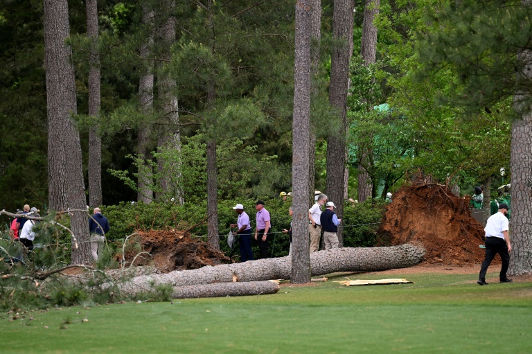 The Masters Falling trees nearly crush crowd at Augusta IBTimes UK