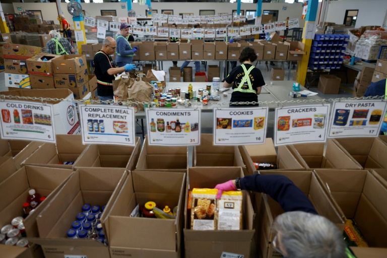 Canadians Flock To Food Banks As Grocery Prices Soar IBTimes UK   Volunteers Sort Through Donated Groceries Daily Bread Food Bank Toronto Canada 