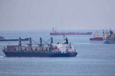 Belize flag bulk carrier Queen Lila waits in the northern anchorage of Istanbul