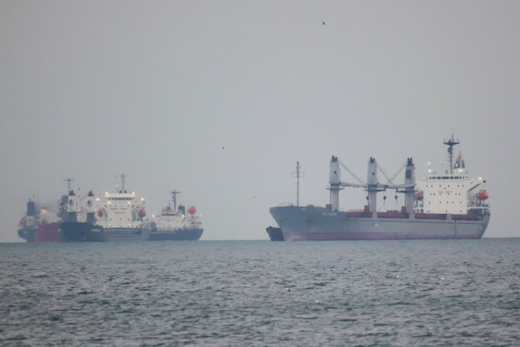 Vessels carrying grain wait in the southern anchorage of Istanbul